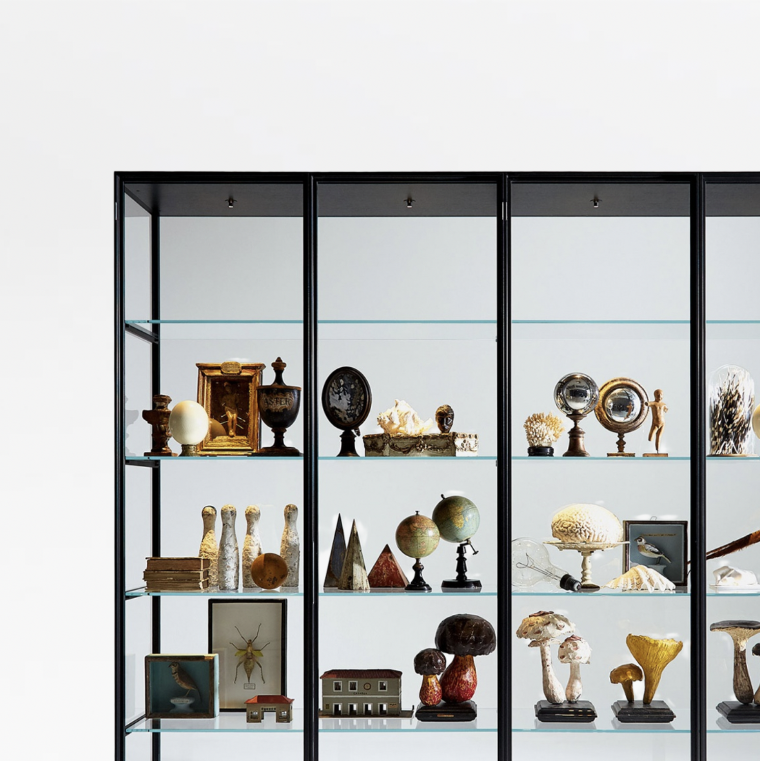 Richard X. Zawitz | Tangle Sculptures and the Language of Curvism
